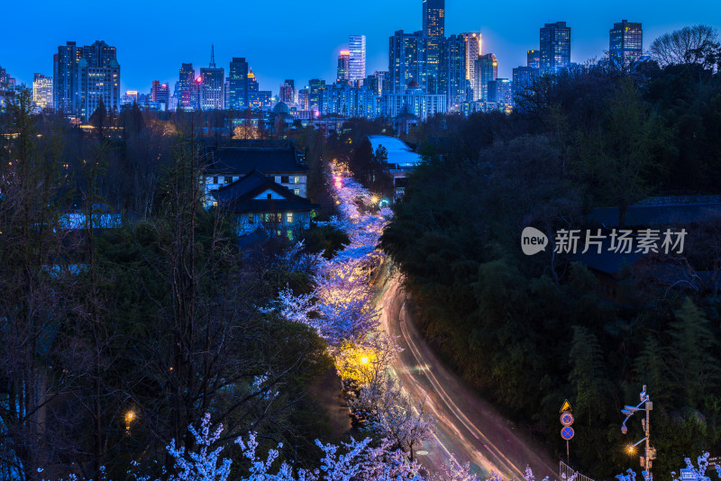 南京鸡鸣寺夜樱樱花灯光车流