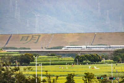 深圳光明欢乐田园油菜花田