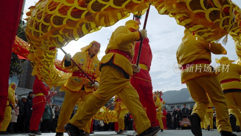 节日舞龙庆祝