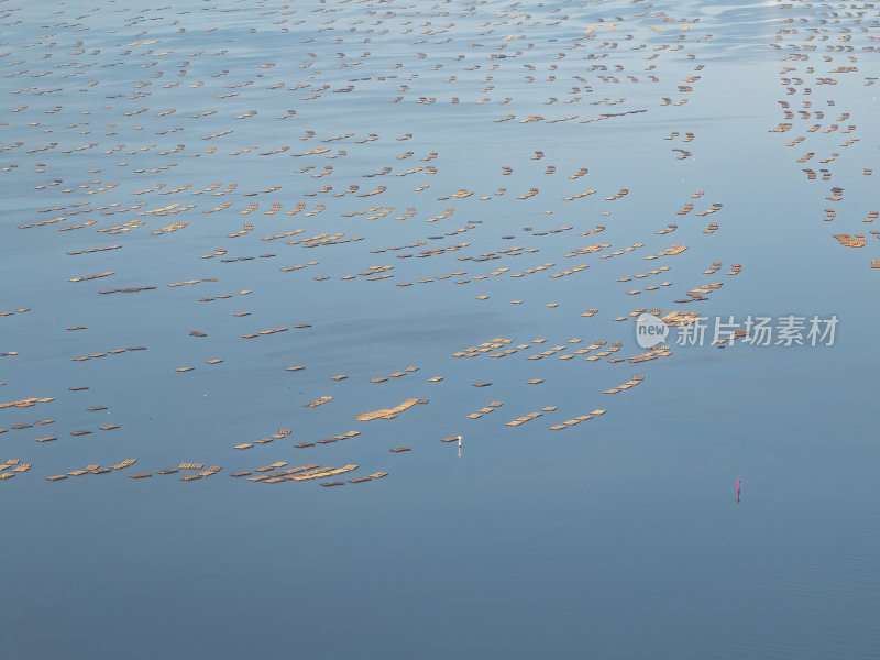 深圳南山前海海面养植物环境航拍