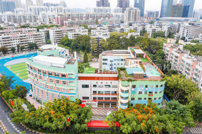 广东省深圳市龙岗区龙城小学