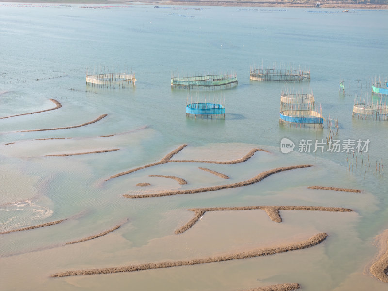 福建宁德霞浦县城红树林涂滩高空航拍