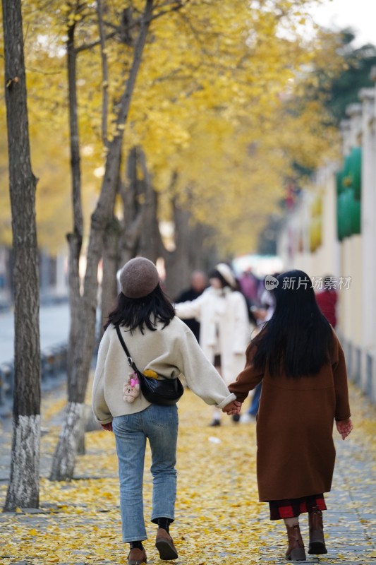 秋季行走在银杏树下的女人