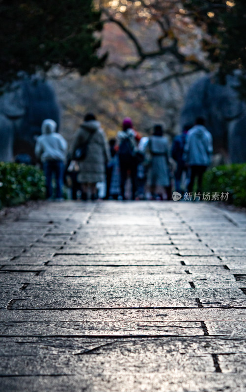 游客参观南京明孝陵石象路神道石像古迹场景