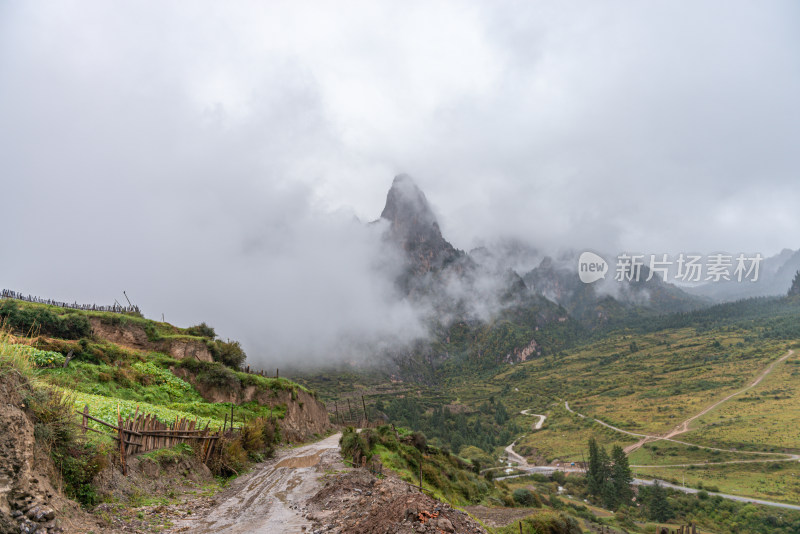 云雾缭绕的森林山峰小路