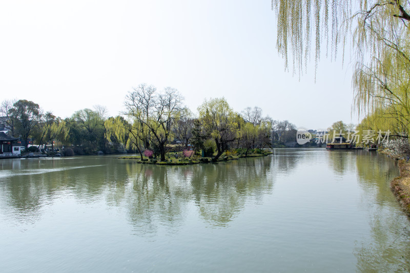 江苏省扬州市瘦西湖风景区湖岸春色