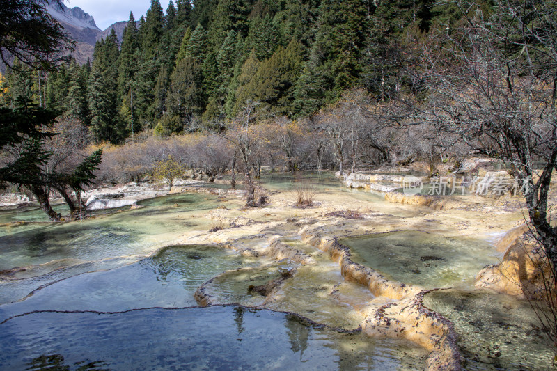 四川阿坝黄龙景区秋日彩池枯树池中倒影