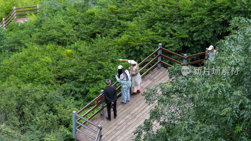 云南香格里拉虎跳峡景区及游客