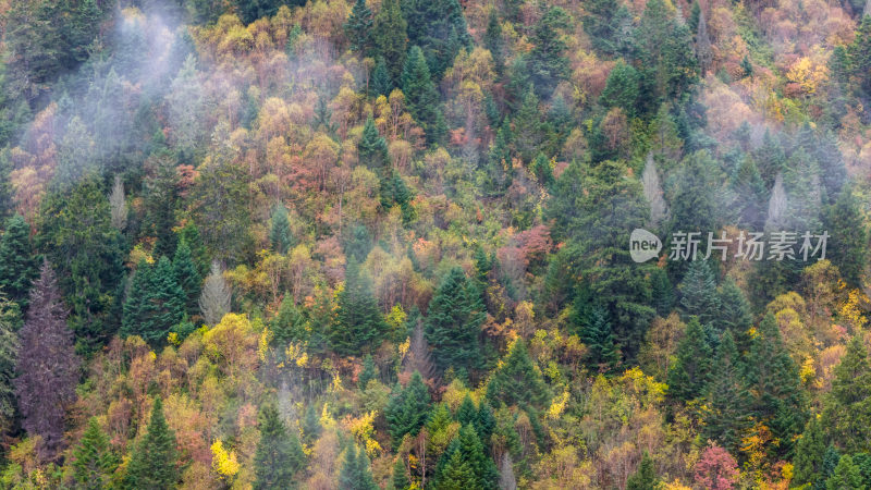 阿坝州黄龙风景名胜区秋色