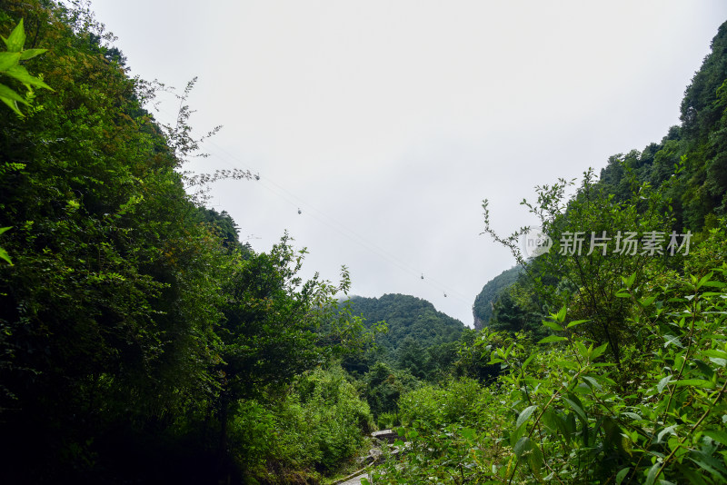 苍山景色