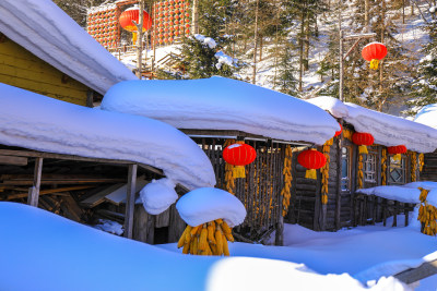 新年大雪积雪挂灯笼