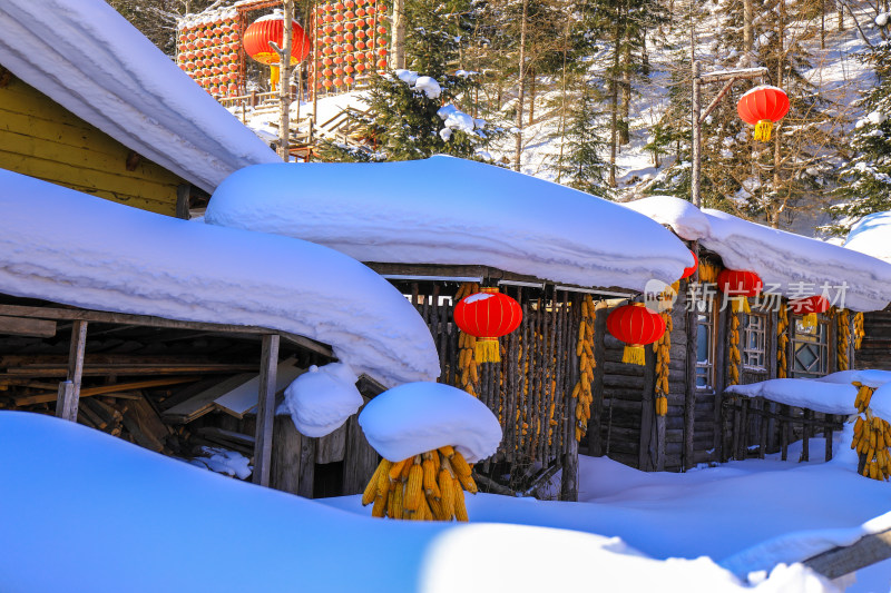 新年大雪积雪挂灯笼