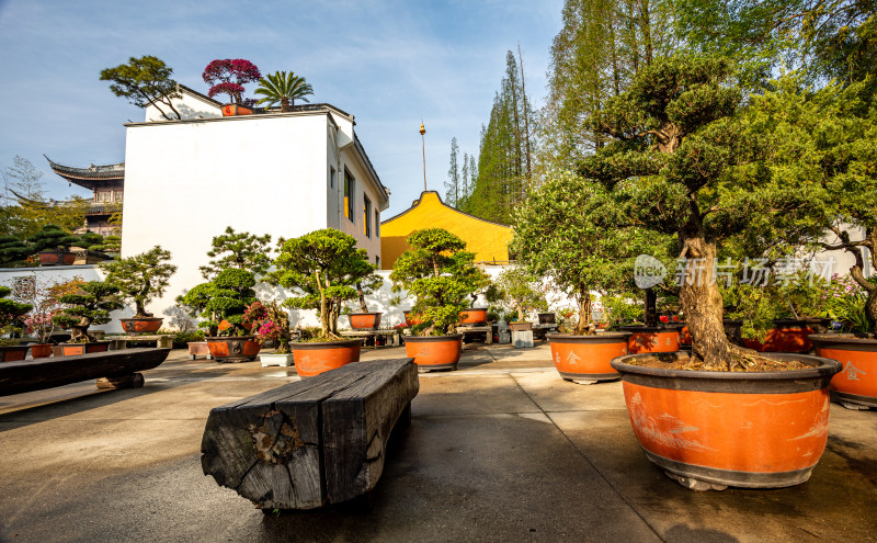 上海徐汇龙华寺自然建筑景观龙华寺塔