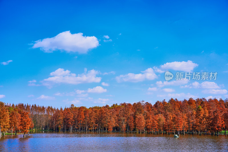 上海青西郊野公园