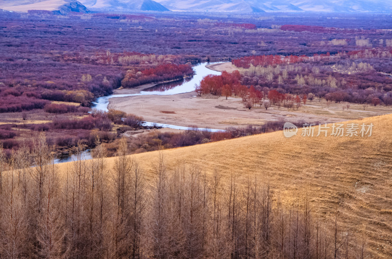 内蒙古呼伦贝尔额尔古纳湿地公园河湾秋景