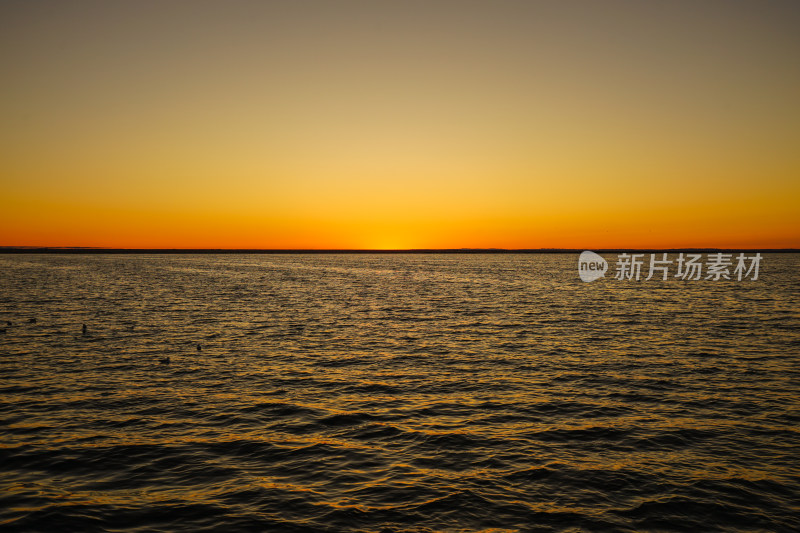 内蒙古额济纳，居延海的日出与海鸥