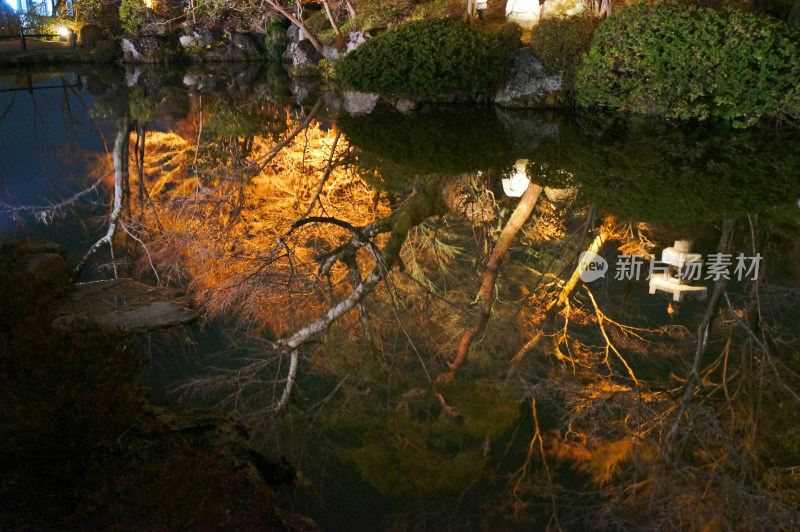 清水寺夜景池塘