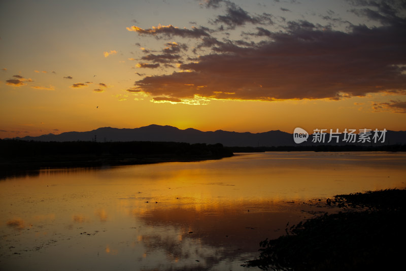 夕阳下水面上的鸟群晚霞