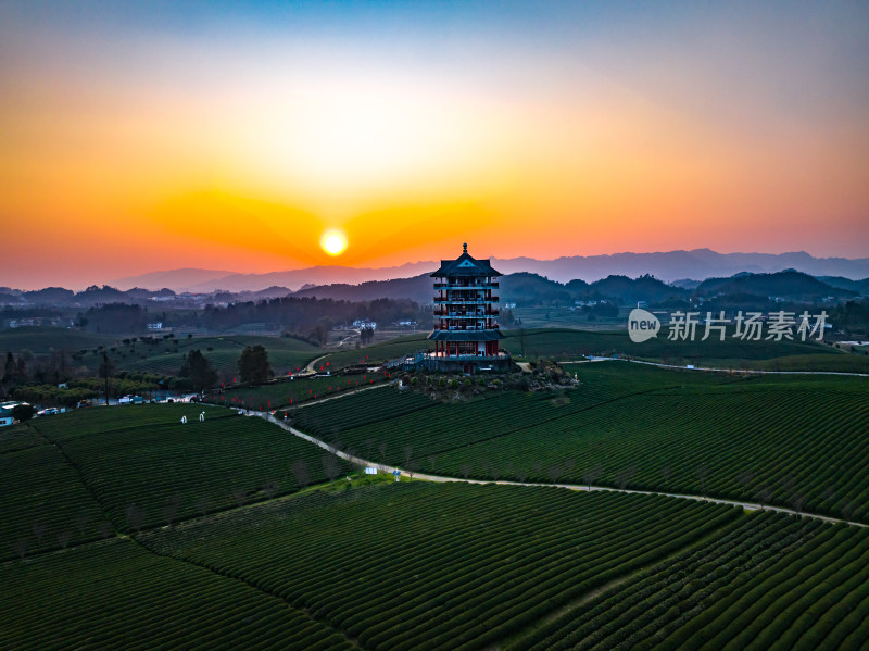 贵州遵义湄潭茶海