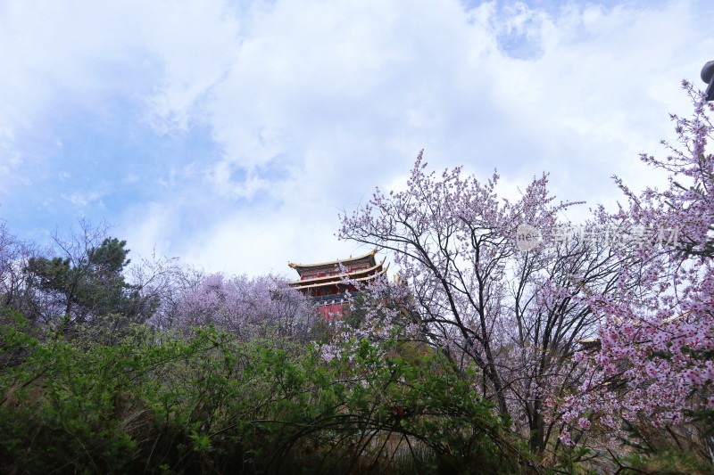 独克宗古城大佛寺