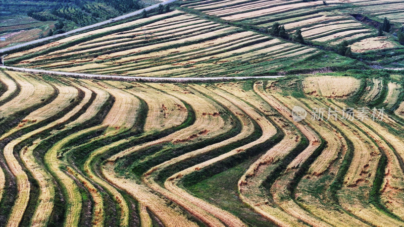 张家口坝上成熟的梯田大地调色板