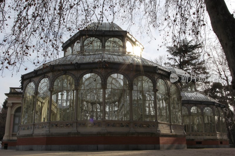 西班牙马德里丽池公园里的玻璃房