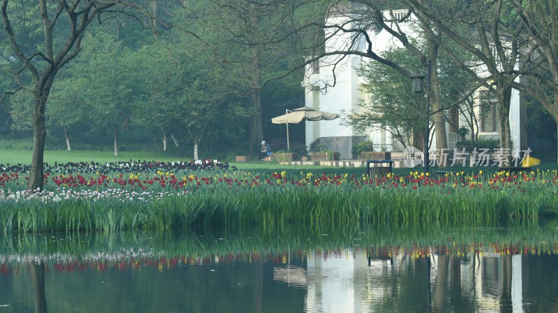 杭州西湖太子湾公园风景