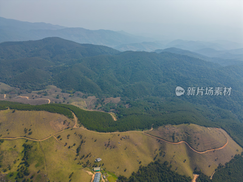 航拍山顶牧场田园风光