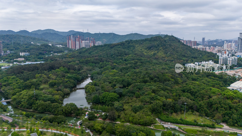 深圳笔架山公园