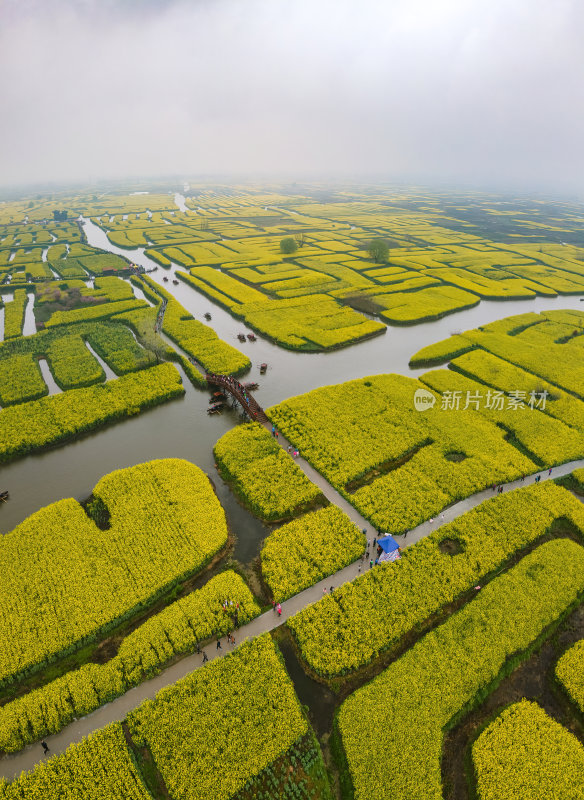 江苏扬州千垛油菜花金黄色运河航拍