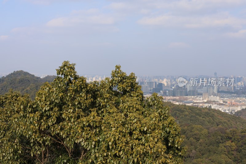 山林远眺城市景观