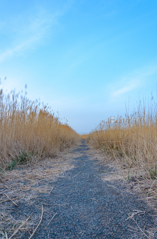 内蒙古包头赛罕塔拉草原生态园秋景步道