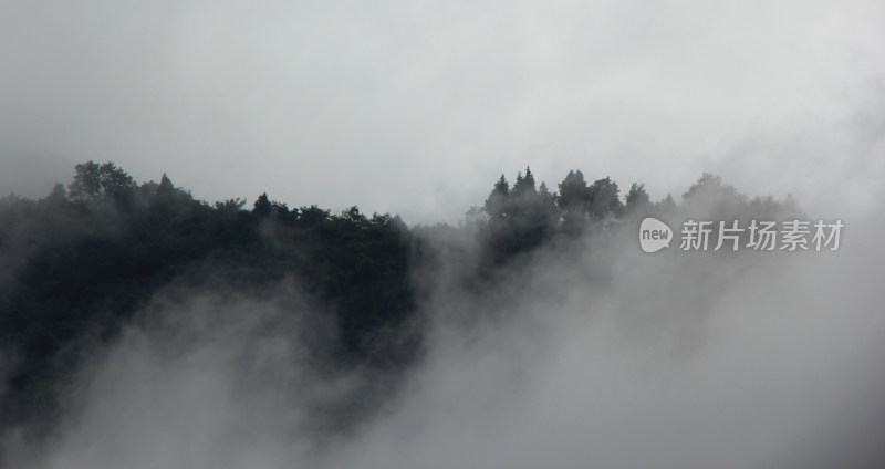 雨后深山云雾实拍