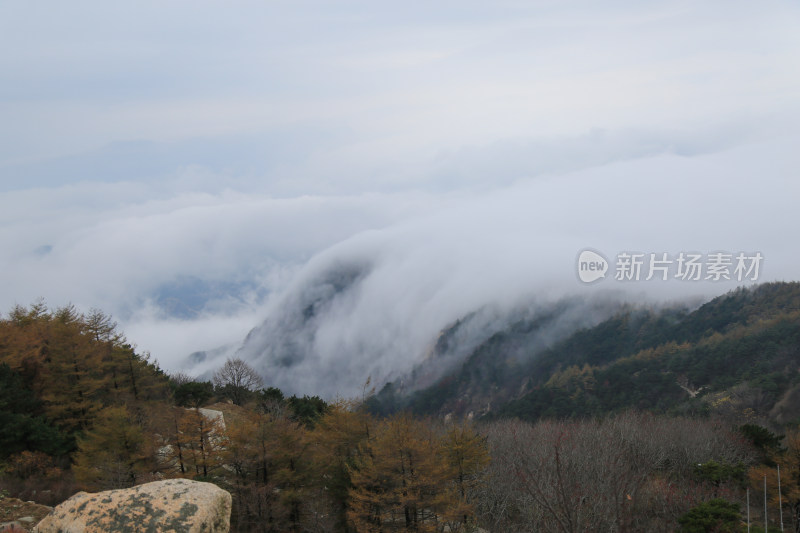 云海 山峰 山峦 山东 泰山