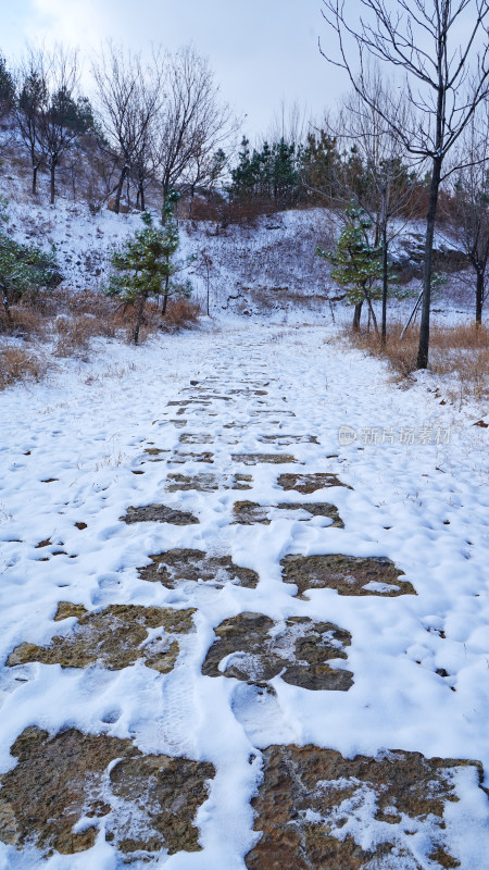 公园山谷小路雪景