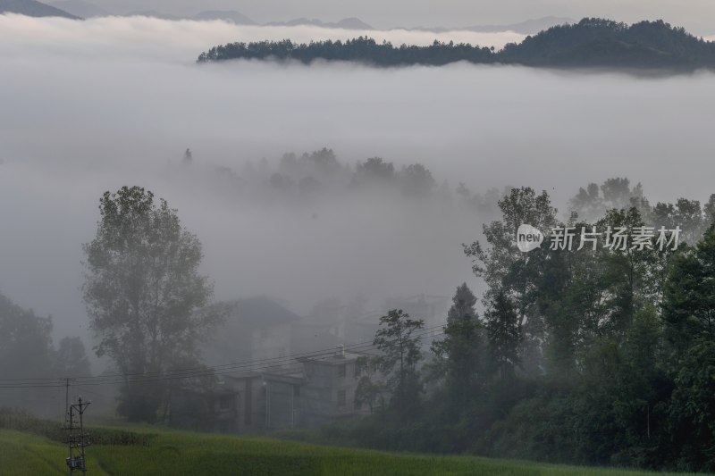 重庆酉阳：丁市初秋风景（二）