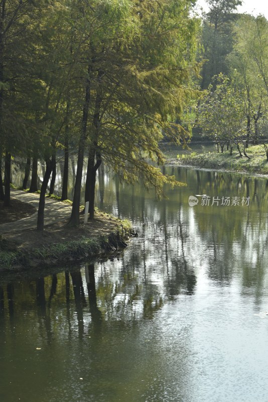 金海湿地公园