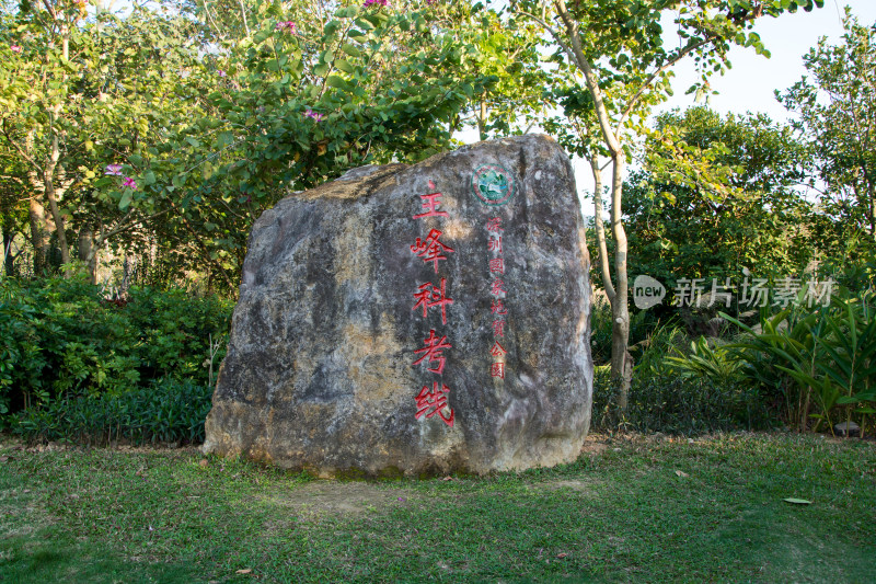 深圳七娘山主蜂科考线石头标示