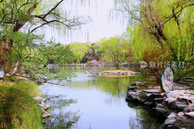 北京大学春天校园优美景色 未名湖