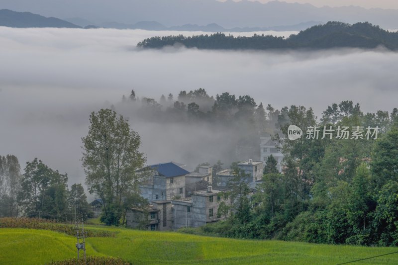 重庆酉阳：丁市初秋风景（二）