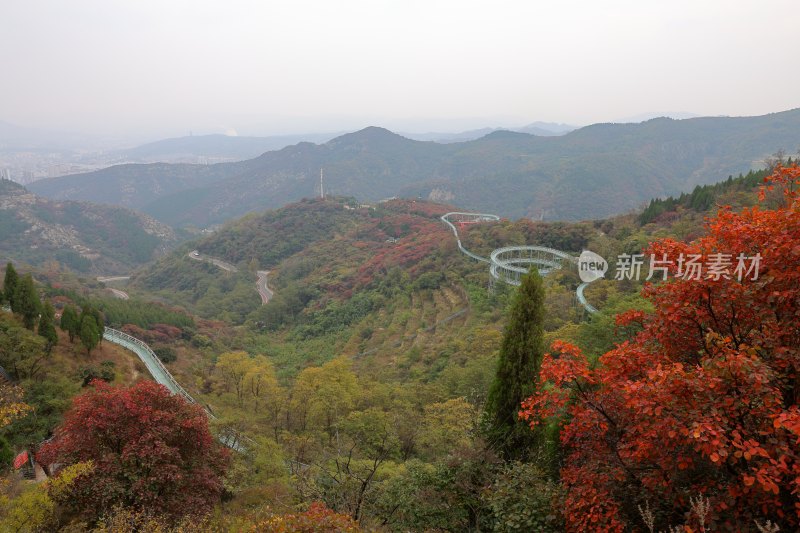 红叶柿岩风光