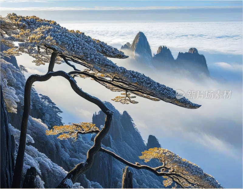 黄山风景