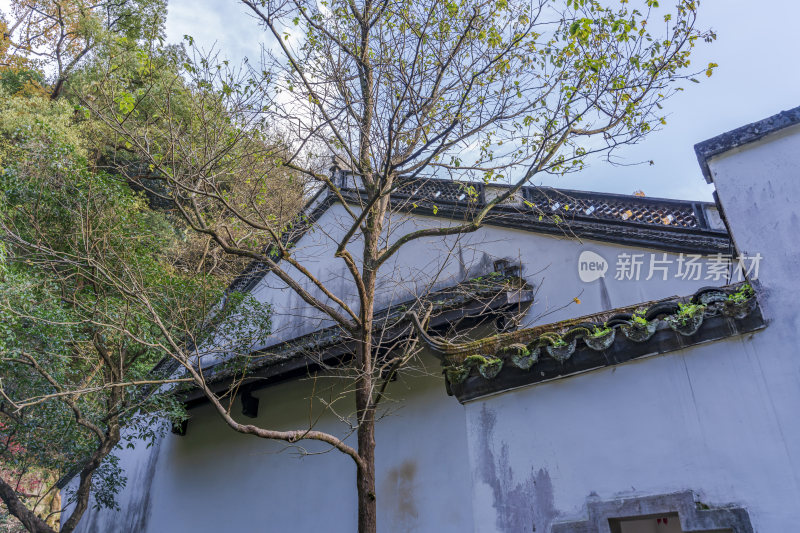 杭州栖霞岭黄龙洞景点风景