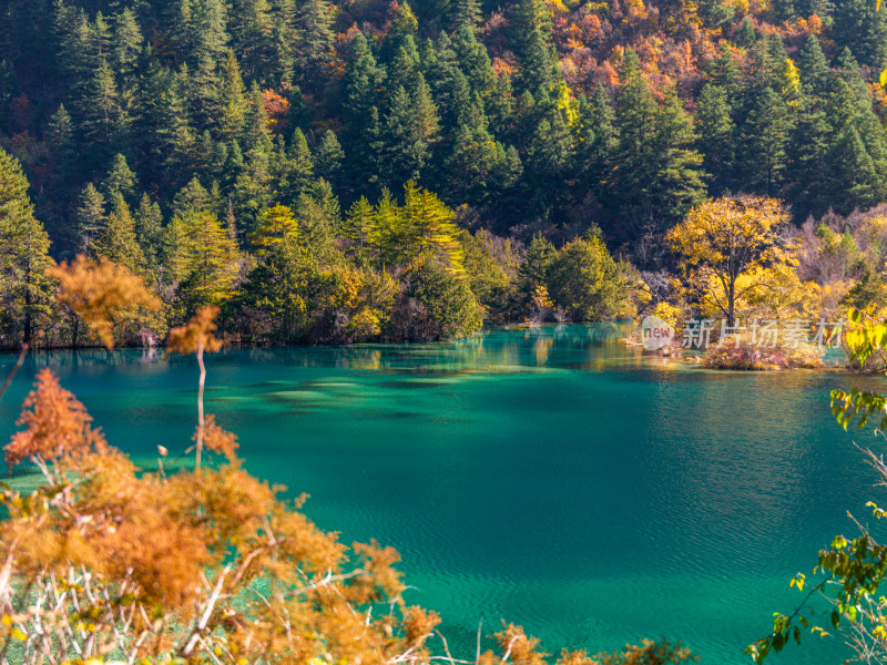 九寨沟秋景