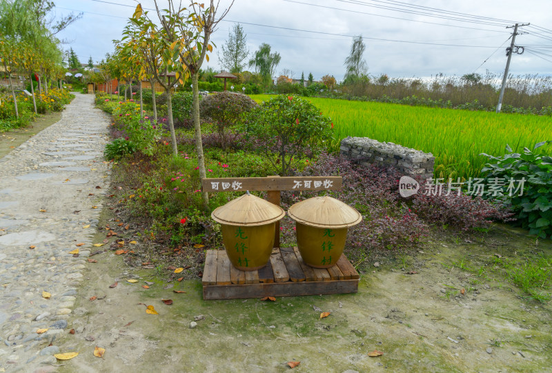 乡村田园风垃圾分类场景