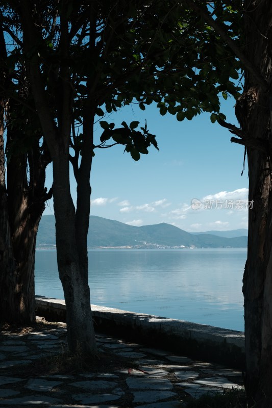 湖边枯树与湖水蓝天景象