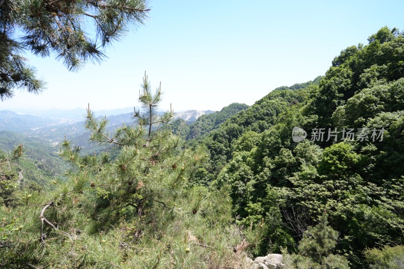 太行山车轱辘坨风光