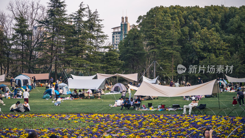 公园草地露营人群场景