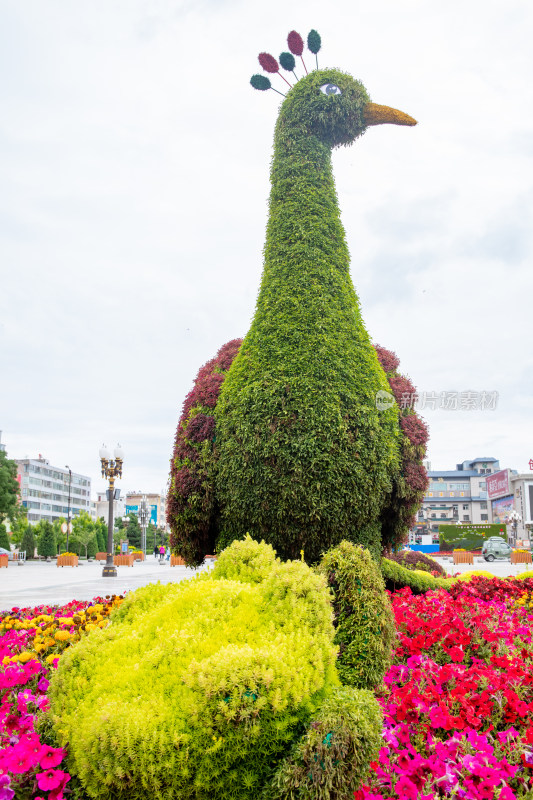 花圃园艺