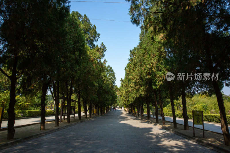 山西芮城永乐宫道教吕洞宾古建墙绘文化遗产